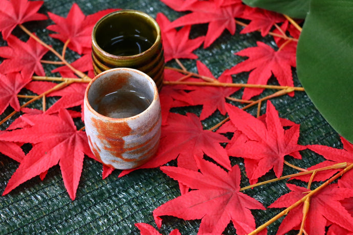 ひやおろしを知る。季節の日本酒、その特徴やおすすめの飲み方などをご紹介。